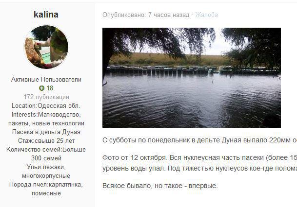 бжд.JPG