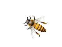 Untitled11.png