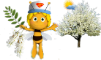 майя akazi.png