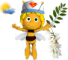 майя akazia1.png