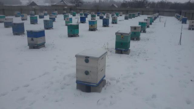 20161218_115650.jpg