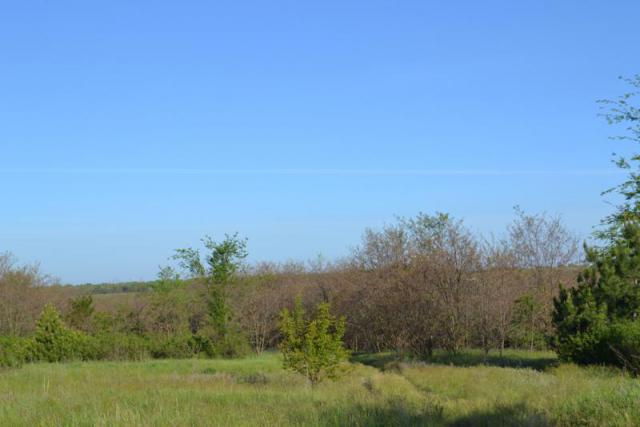 DSC_0079.JPG