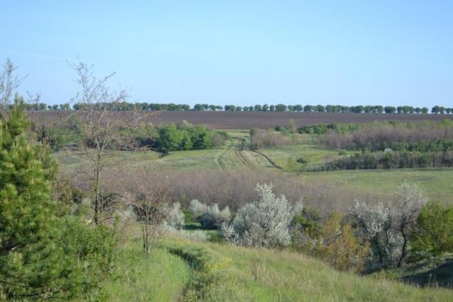 DSC_0087.JPG