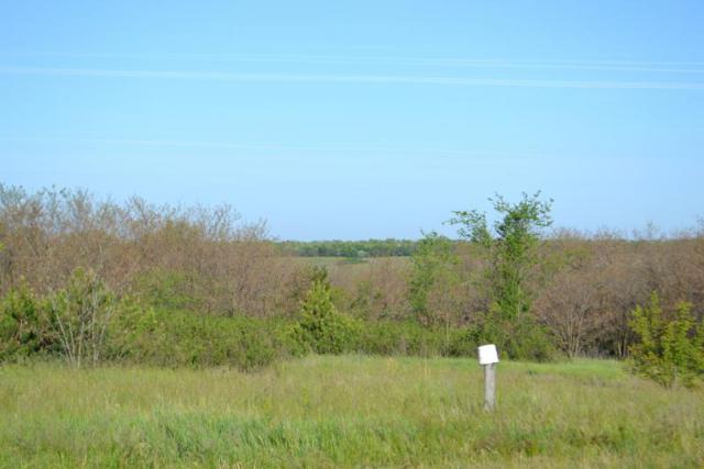 DSC_0108.JPG