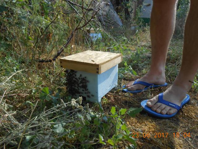 DSCN3508-min.JPG