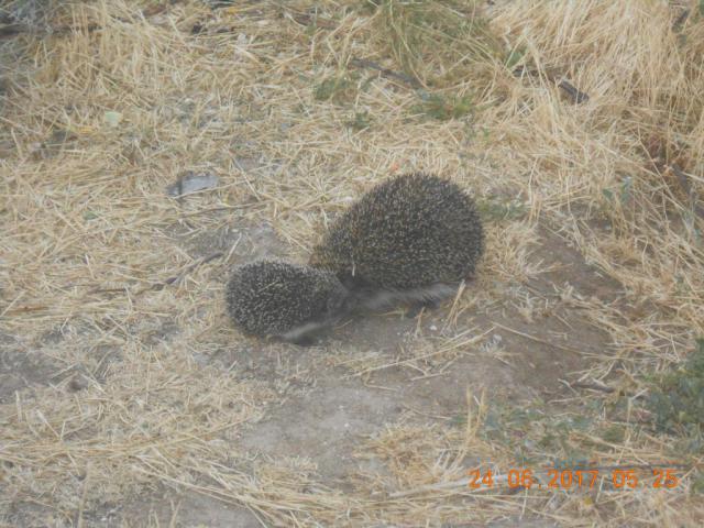 DSCN3535-min.JPG