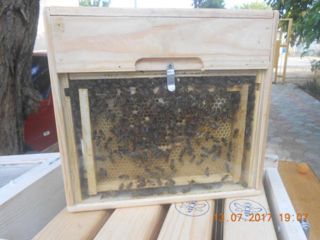 DSCN3546-min.jpg