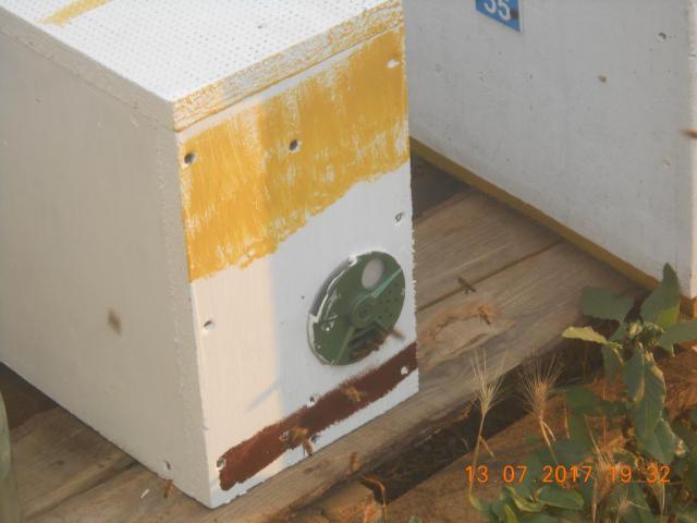 DSCN3553-min.jpg