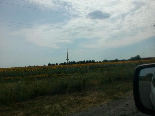 IMG_20170712_153934.jpg