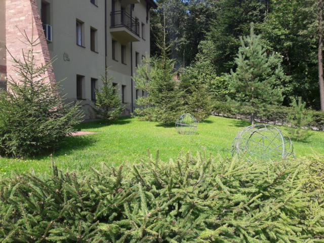 09.jpg