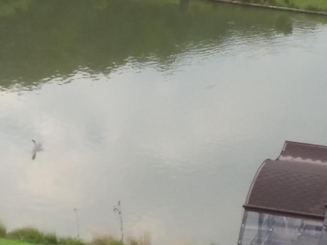 20170910_081413.jpg