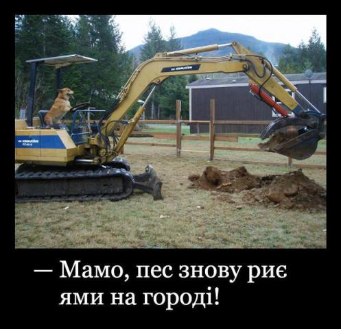 pes-znovu-ryje-jamy.jpg