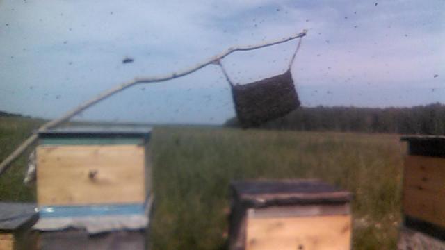 WP_20180714_001.jpg