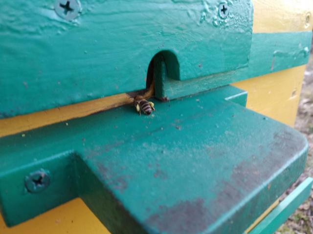 IMG_20190317_171854-01.thumb.jpeg.85614b3c7fefde831f6977007914cbbe.jpeg