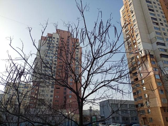 15900654_b8db44d0.jpg