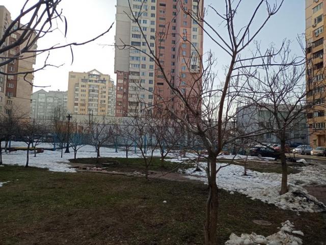 15900655_ddbc7f96.jpg