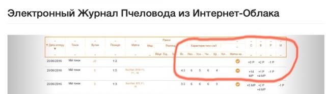 Бали.jpg