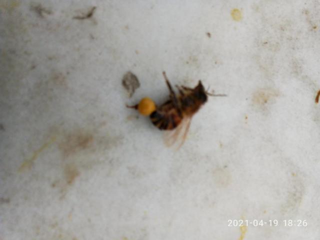 P10419-182636.jpg