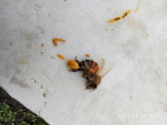 P10419-182659.jpg