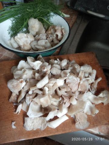 SAVE_20210531_113651.jpg