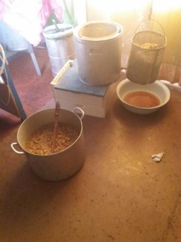 20210711_175103 (480x640).jpg