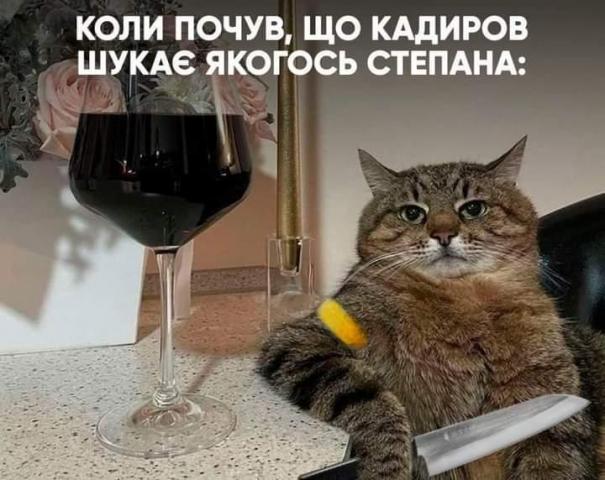 FB_IMG_1647771683379.jpg