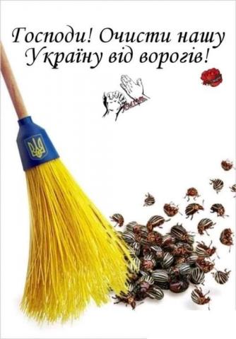 1651076577071.jpg