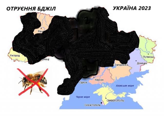 7_06__23.png