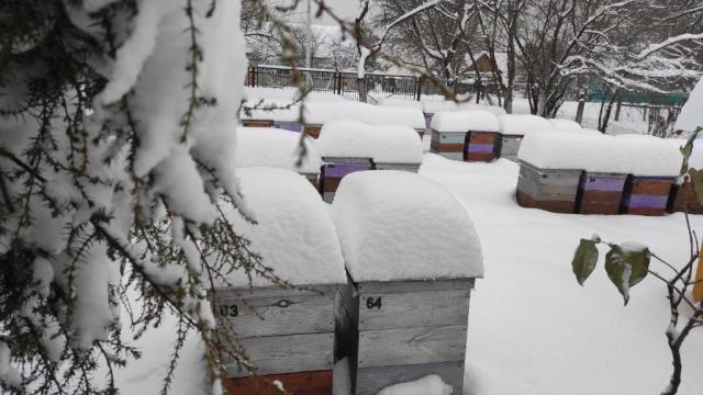 зображення_viber_2023-12-03_11-03-00-478.jpg