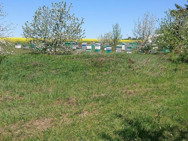 _20240503_214226.JPG
