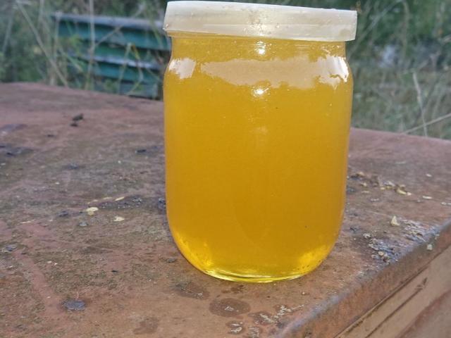 _20240906_203309.JPG