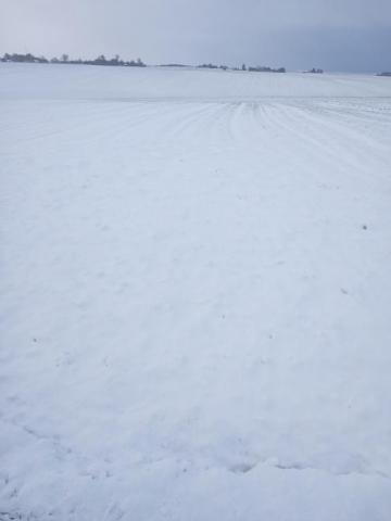 IMG_20250410_071623079_MFNR.jpg