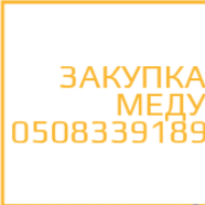 Раїса