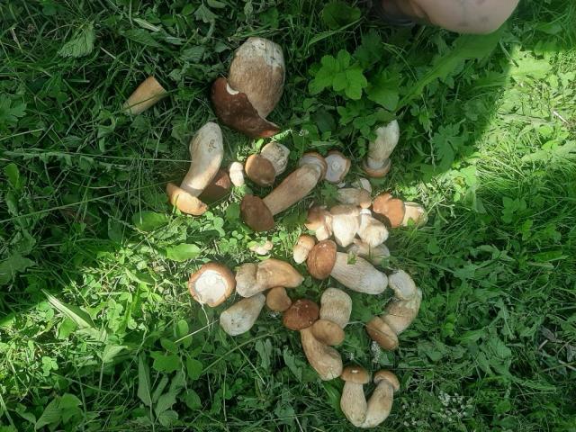 20250726_160957.jpg