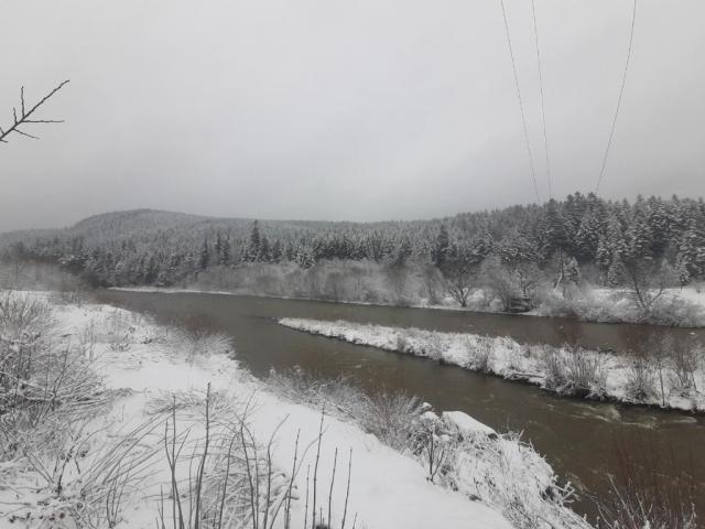 20251122_124312.jpg