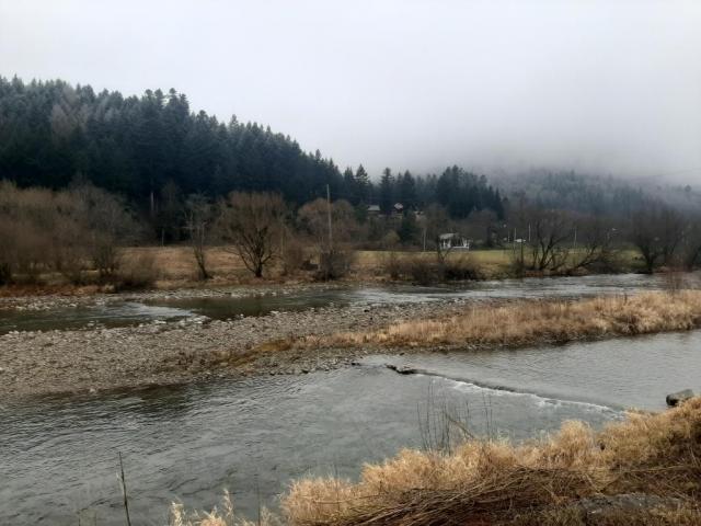 20251223_131027.jpg