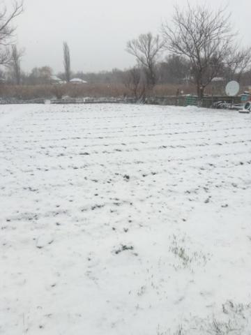 IMG_20251209_092700.jpg