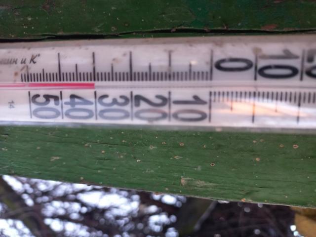 20260203_074913.jpg