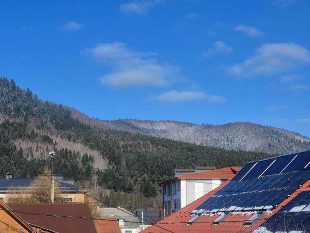 20260226_094543.jpg