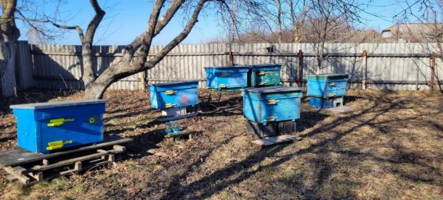20260312_151355.jpg