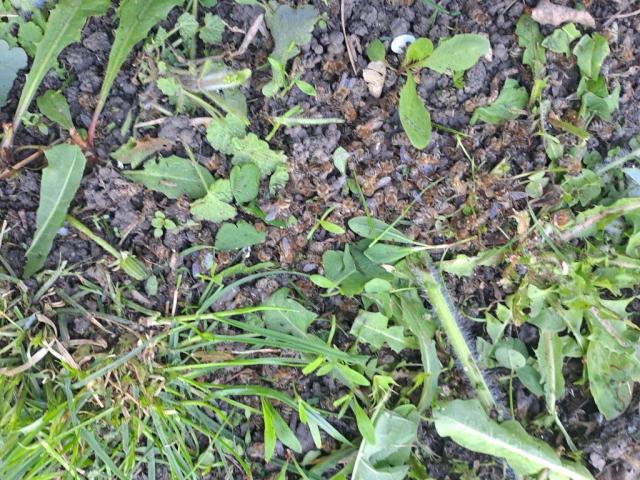 20260504_083825.jpg