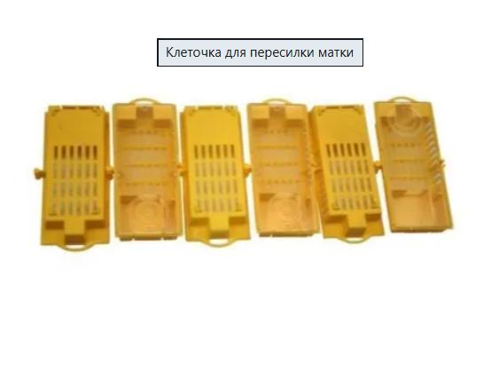 image.png.99f885836cb01171614ee1473f05a2ad.png
