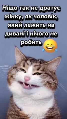 images.jpeg