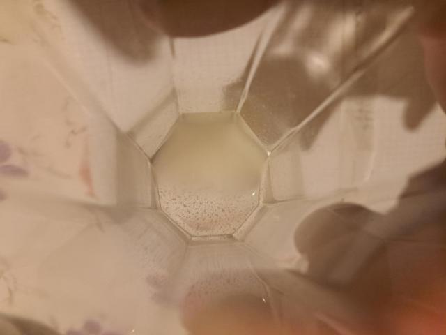 20251209_235547.jpg