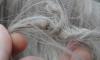 post-3166-1384723169_thumb.jpg