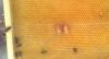 post-3891-1373915178_thumb.jpg